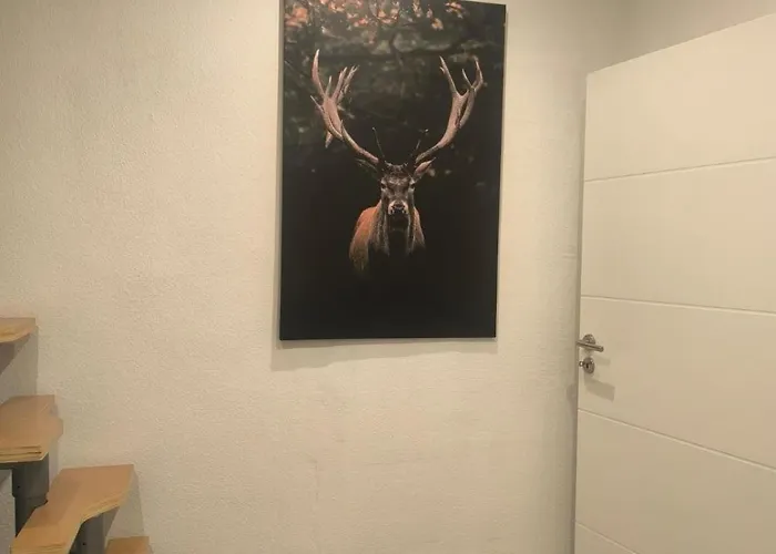 Apartmán Naturnest Berzbuir Düren - Eifel