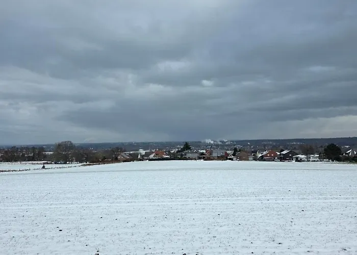 Naturnest Berzbuir * Düren - Eifel